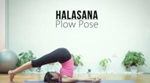 Plow Pose Yoga